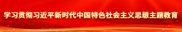 啊啊好爽视频+操逼学习贯彻习近平新时代中国特色社会主义思想主题教育