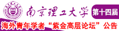 大鸡吧用力操我骚逼视频南京理工大学第十四届海外青年学者紫金论坛诚邀海内外英才！